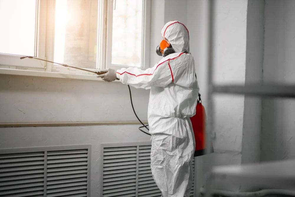 Professional mold remediation services in Zanesville, OH